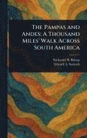 bokomslag The Pampas and Andes: A Thousand Miles' Walk Across South America