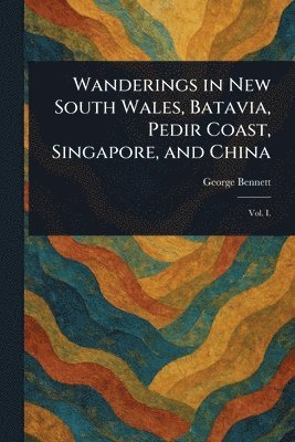 bokomslag Wanderings in New South Wales, Batavia, Pedir Coast, Singapore, and China