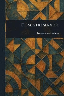 bokomslag Domestic Service