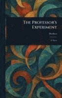 bokomslag Professor's Experiment