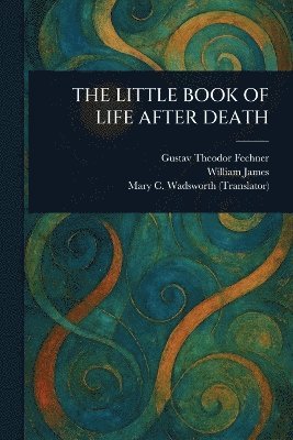 bokomslag Little Book of Life After Death