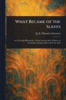 bokomslag What Became of the Slaves