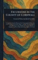 bokomslag Excursions in the County of Cornwall