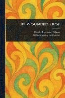 bokomslag Wounded Eros