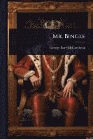 bokomslag Mr. Bingle