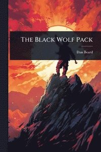 bokomslag Black Wolf Pack