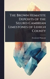 bokomslag The Brown Hematite Deposits of the Siluro-Cambrian Limestones of Lehigh County