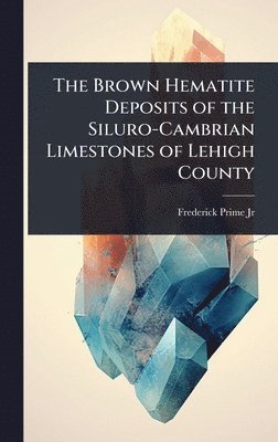 bokomslag The Brown Hematite Deposits of the Siluro-Cambrian Limestones of Lehigh County