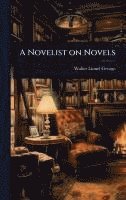bokomslag A Novelist on Novels