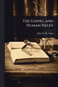 bokomslag Gospel and Human Needs