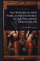 bokomslag The Witches of New York, as Encountered by Q.K. Philander Doesticks, P.B
