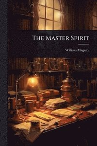 bokomslag Master Spirit