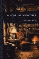 bokomslag A Novelist on Novels