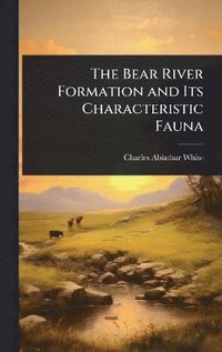 bokomslag Bear River Formation and Its Characteristic Fauna