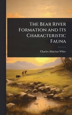 bokomslag Bear River Formation and Its Characteristic Fauna