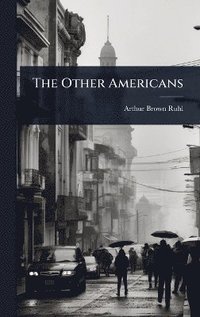 bokomslag Other Americans