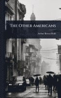 bokomslag The Other Americans