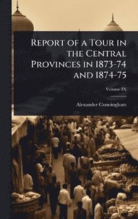 bokomslag Report of a Tour in the Central Provinces in 1873-74 and 1874-75