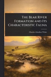 bokomslag Bear River Formation and Its Characteristic Fauna