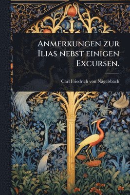 bokomslag Anmerkungen zur Ilias nebst einigen Excursen.