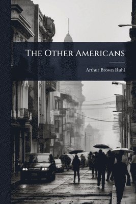 bokomslag The Other Americans
