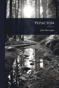 bokomslag Pepacton