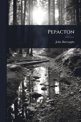 bokomslag Pepacton