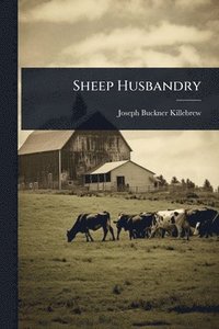 bokomslag Sheep Husbandry