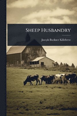 Sheep Husbandry