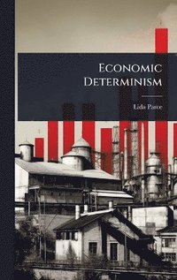 bokomslag Economic Determinism