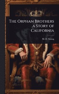 bokomslag Orphan Brothers a Story of California