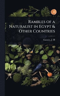 bokomslag Rambles of a Naturalist in Egypt & Other Countries