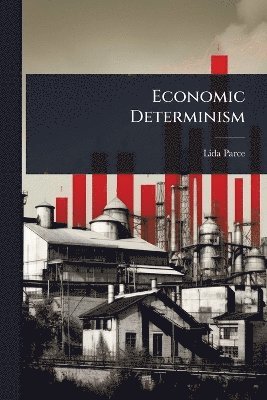 bokomslag Economic Determinism