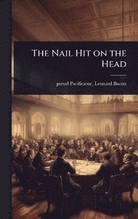 bokomslag Nail Hit on the Head