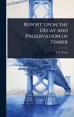 bokomslag Report Upon the Decay and Preservation of Timber