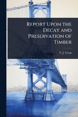 bokomslag Report Upon the Decay and Preservation of Timber