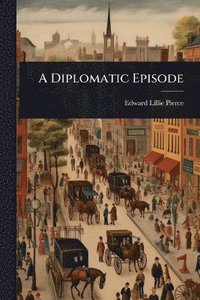 bokomslag A Diplomatic Episode