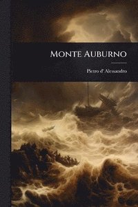 bokomslag Monte Auburno
