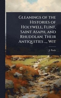 bokomslag Gleanings of the Histories of Holywell, Flint, Saint Asaph, and Rhuddlan; Their Antiquities ..., Wit