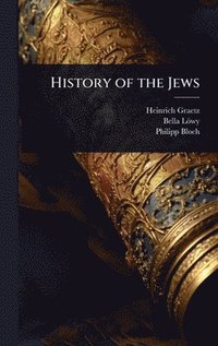 bokomslag History of the Jews