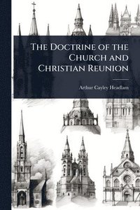 bokomslag Doctrine of the Church and Christian Reunion