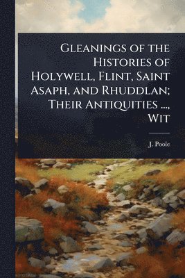 bokomslag Gleanings of the Histories of Holywell, Flint, Saint Asaph, and Rhuddlan; Their Antiquities ..., Wit