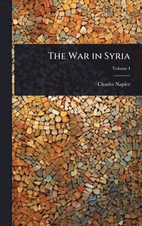 bokomslag War in Syria