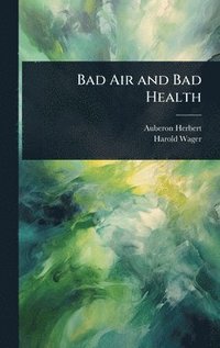 bokomslag Bad Air and Bad Health