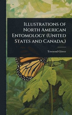 bokomslag Illustrations of North American Entomology (United States and Canada, )