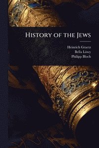 bokomslag History of the Jews