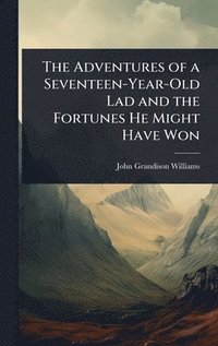 bokomslag The Adventures of a Seventeen-Year-Old Lad and the Fortunes He Might Have Won
