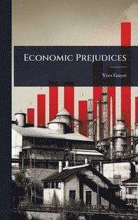 bokomslag Economic Prejudices