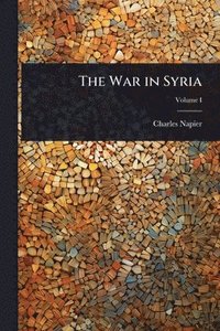 bokomslag War in Syria