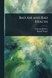 bokomslag Bad Air and Bad Health